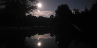 moon reflecting in the pond