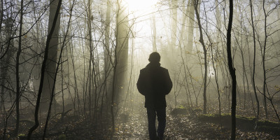 walk toward the sun in the woods
