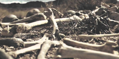 dry bones