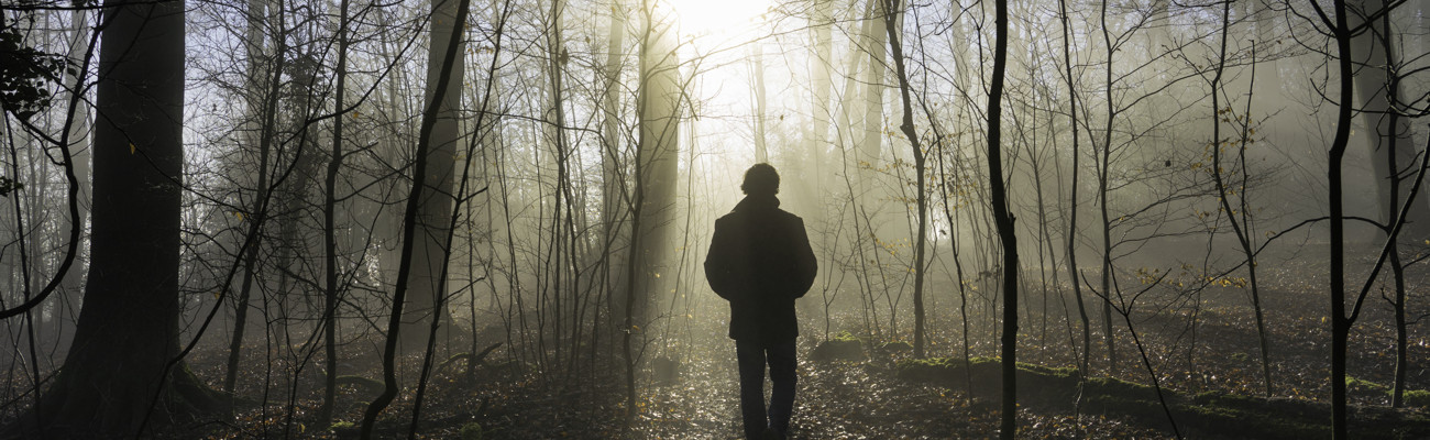 walk toward the sun in the woods