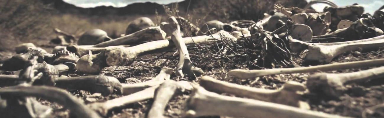 dry bones