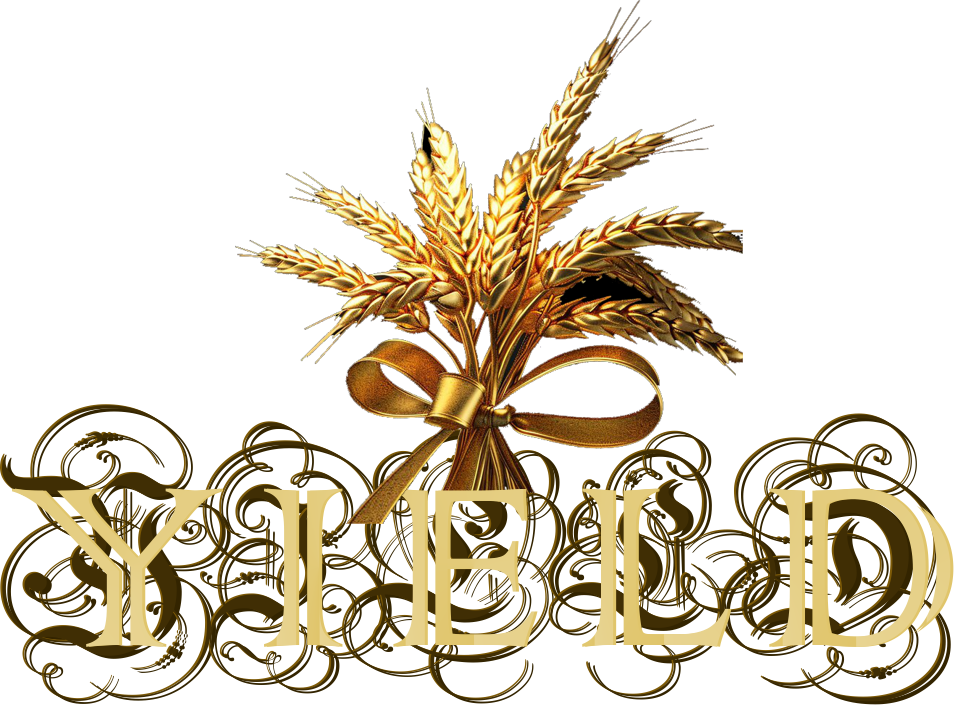 Yield Logo